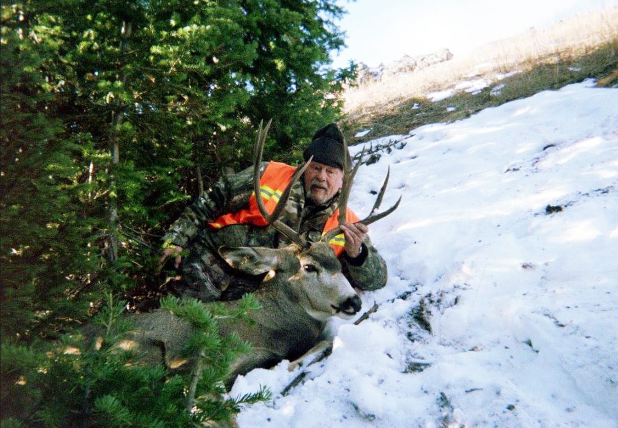 mule deer