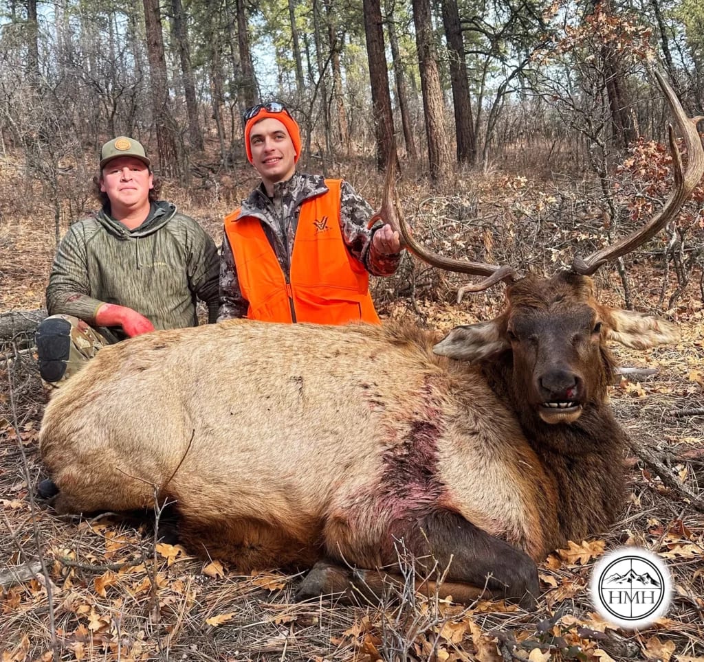 Two hunters pose with a harvested elk in a wooded area.
