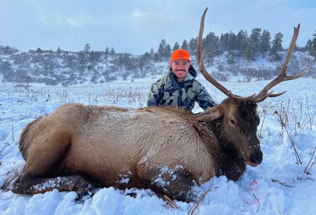 A hunter poses with a harvested elk in a snowy field.