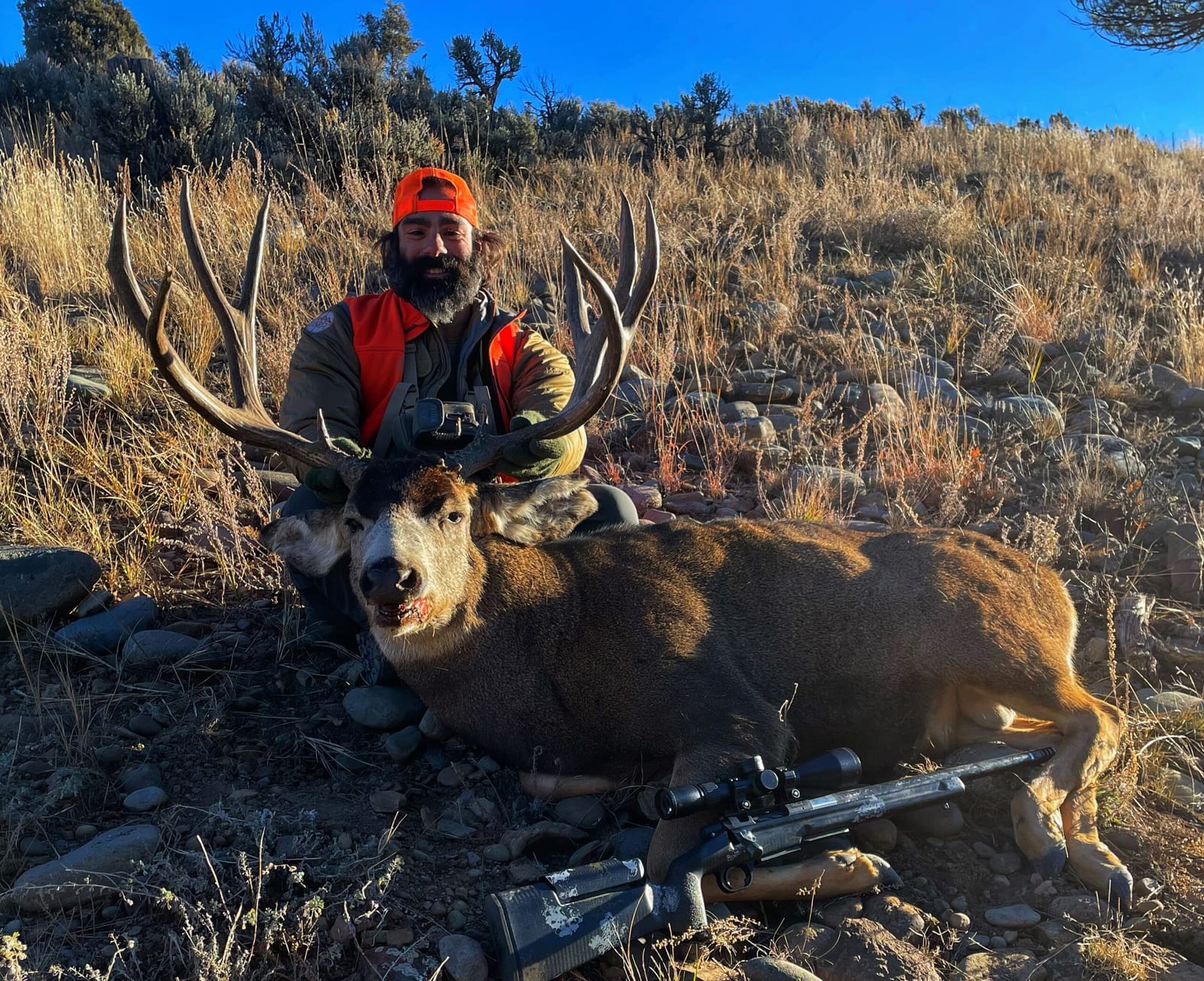A hunter in an orange hat and vest poses with a harvested mule deer and a rifle in a dry, grassy field.