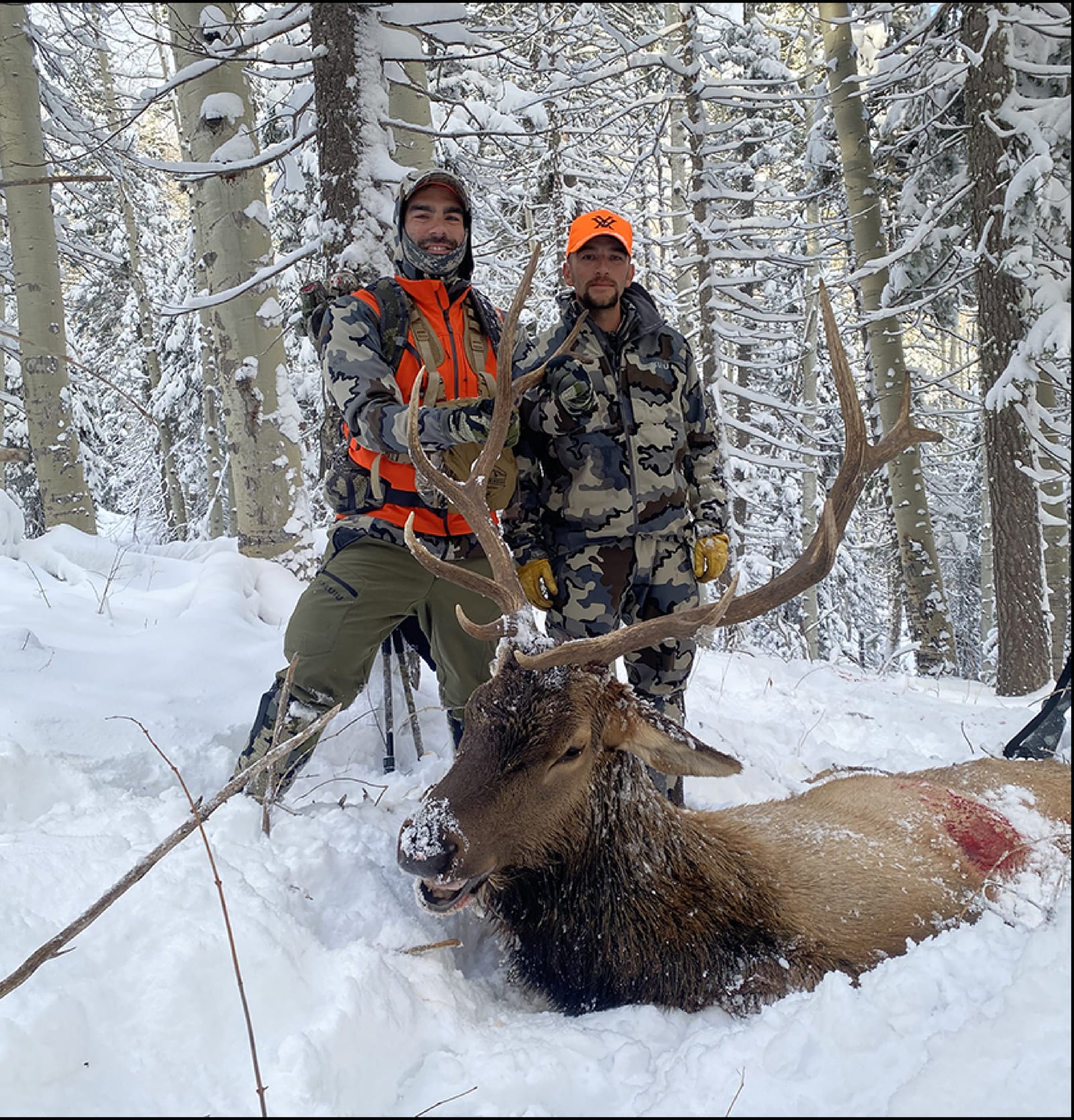 Two hunters pose with a harvested elk in a snowy forest.