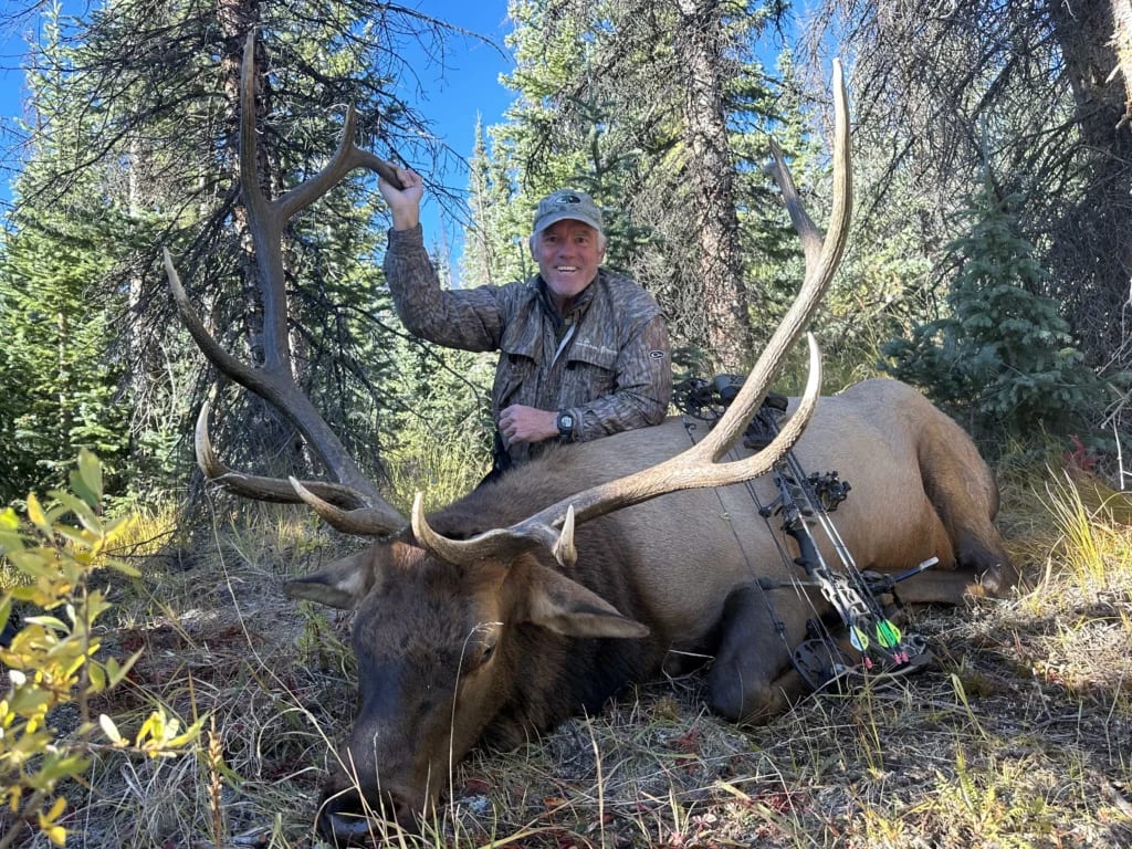 A hunter poses with a harvested elk in a forest.