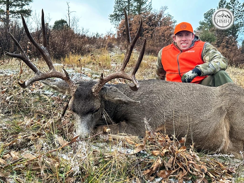 A hunter in an orange vest and hat poses with a harvested mule deer in a snowy, grassy field.