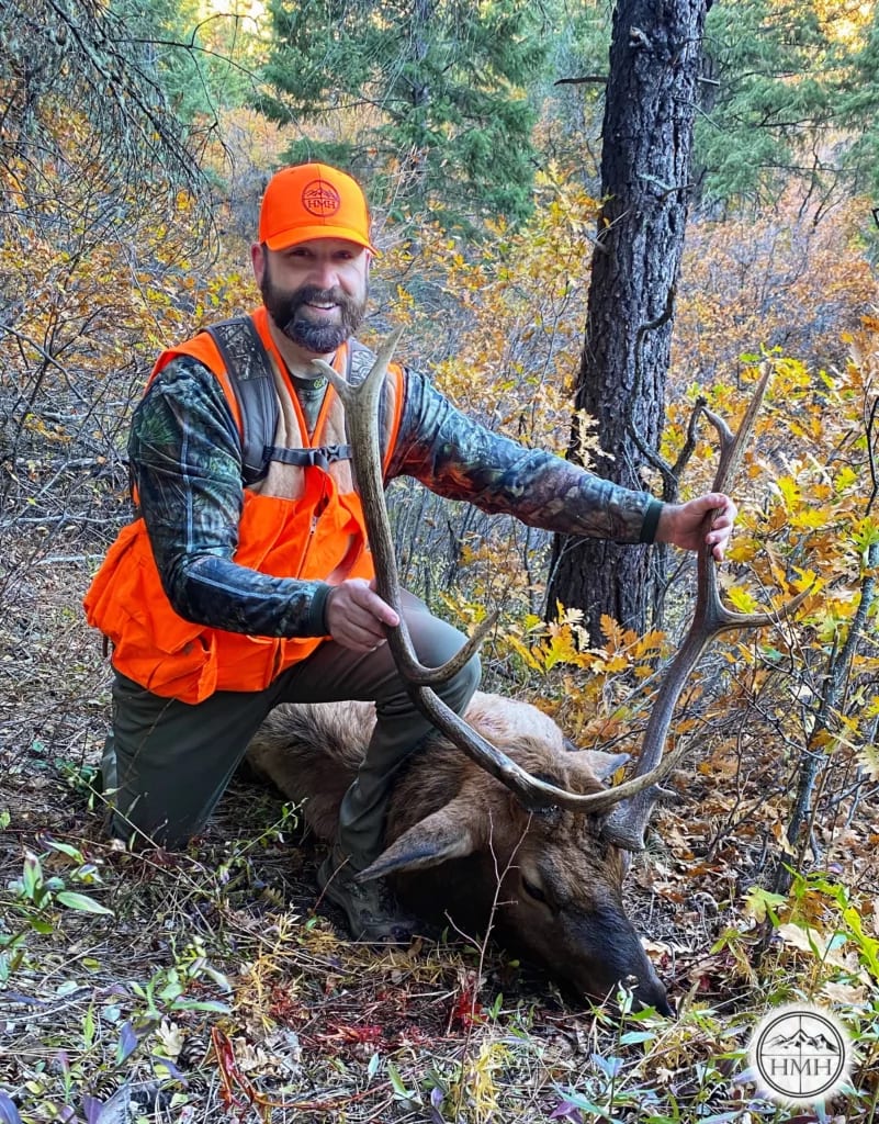 A hunter kneels beside a harvested elk in a forest.