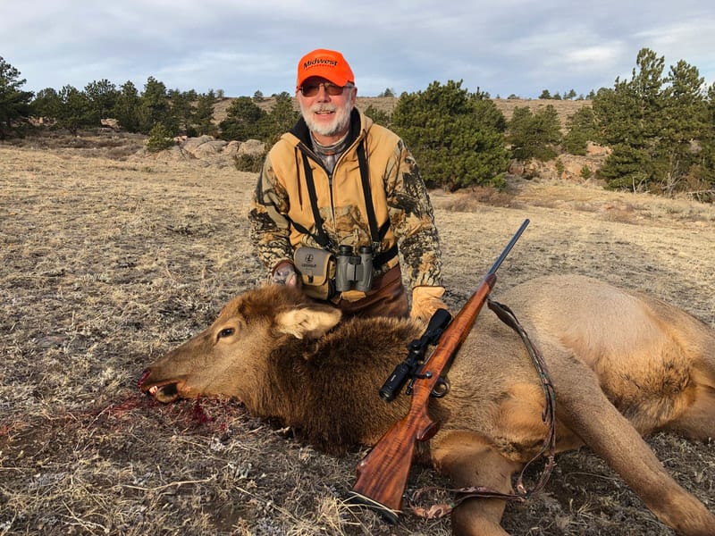 A hunter in an orange hat and camouflage jacket poses with a harvested elk and a rifle on the ground.