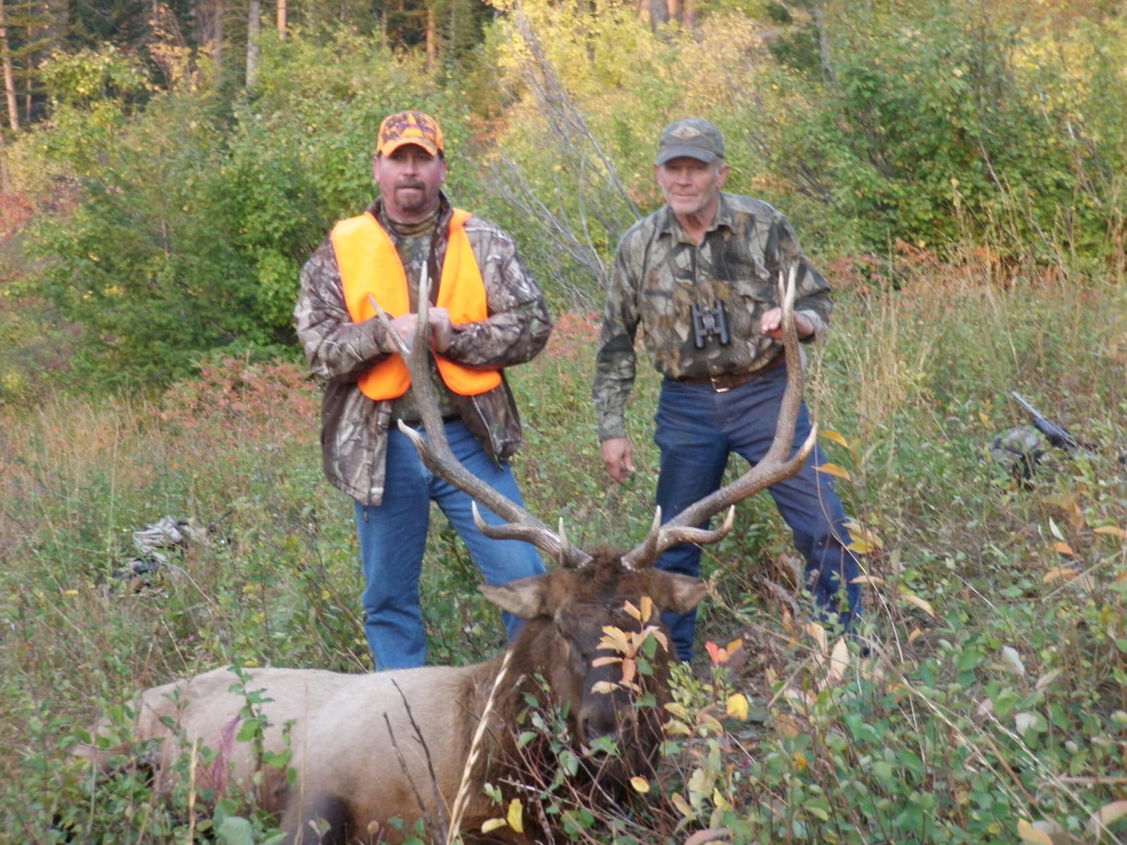 High Rock Outfitters MT Bull Elk