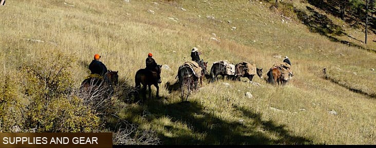 People on horseback and with pack animals traverse a grassy hillside.