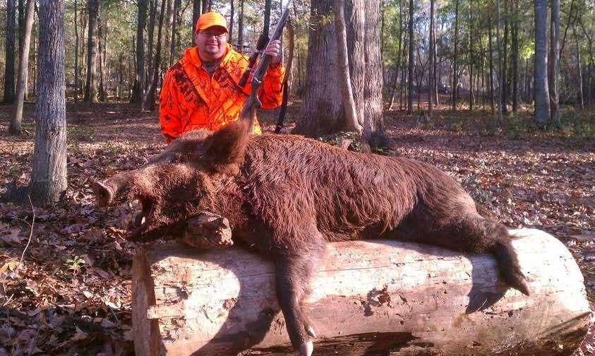 Guided Hog Hunts in Georgia: What’s Included, What to Bring & Where to Hunt