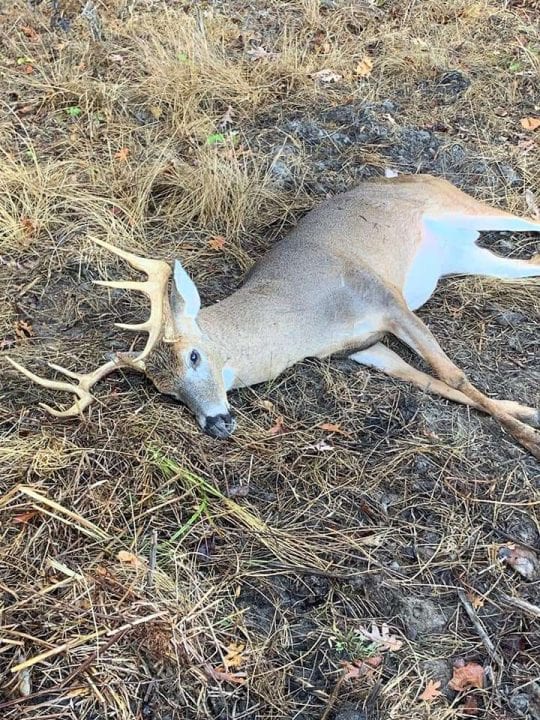 2024 Opening Day of Deer Season at Hog Wild USA in Macon, GA