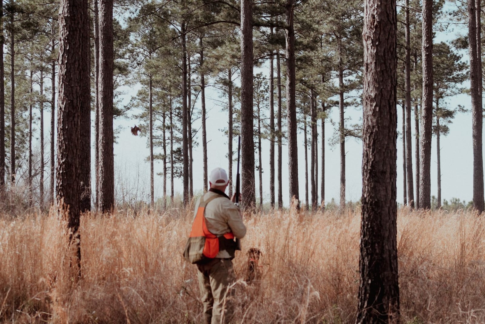 Private Overnight Quail Hunt