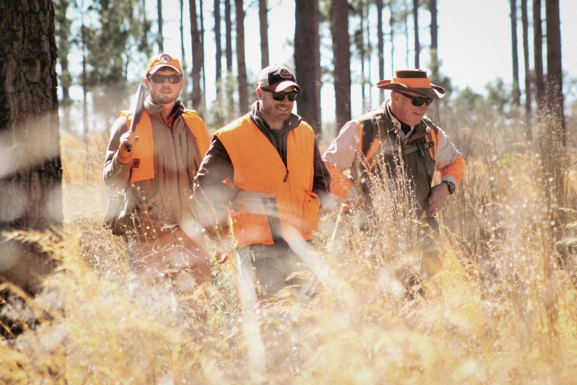 Three hunters in orange vests walk through tall grass in a pine forest.