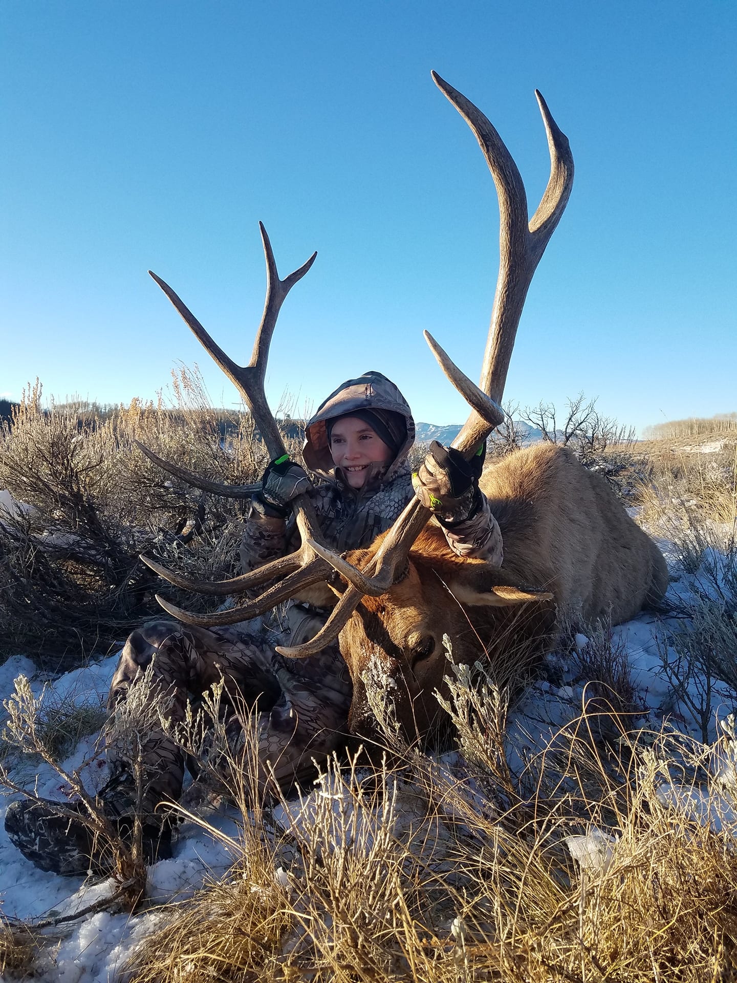 A young person poses with a harvested elk in a snowy, brushy field under a clear blue sky.