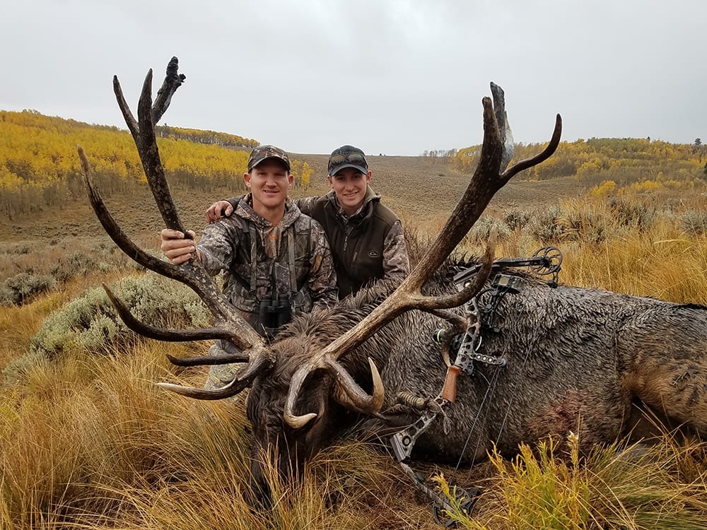 Two hunters pose with a harvested elk in a field with autumn foliage.