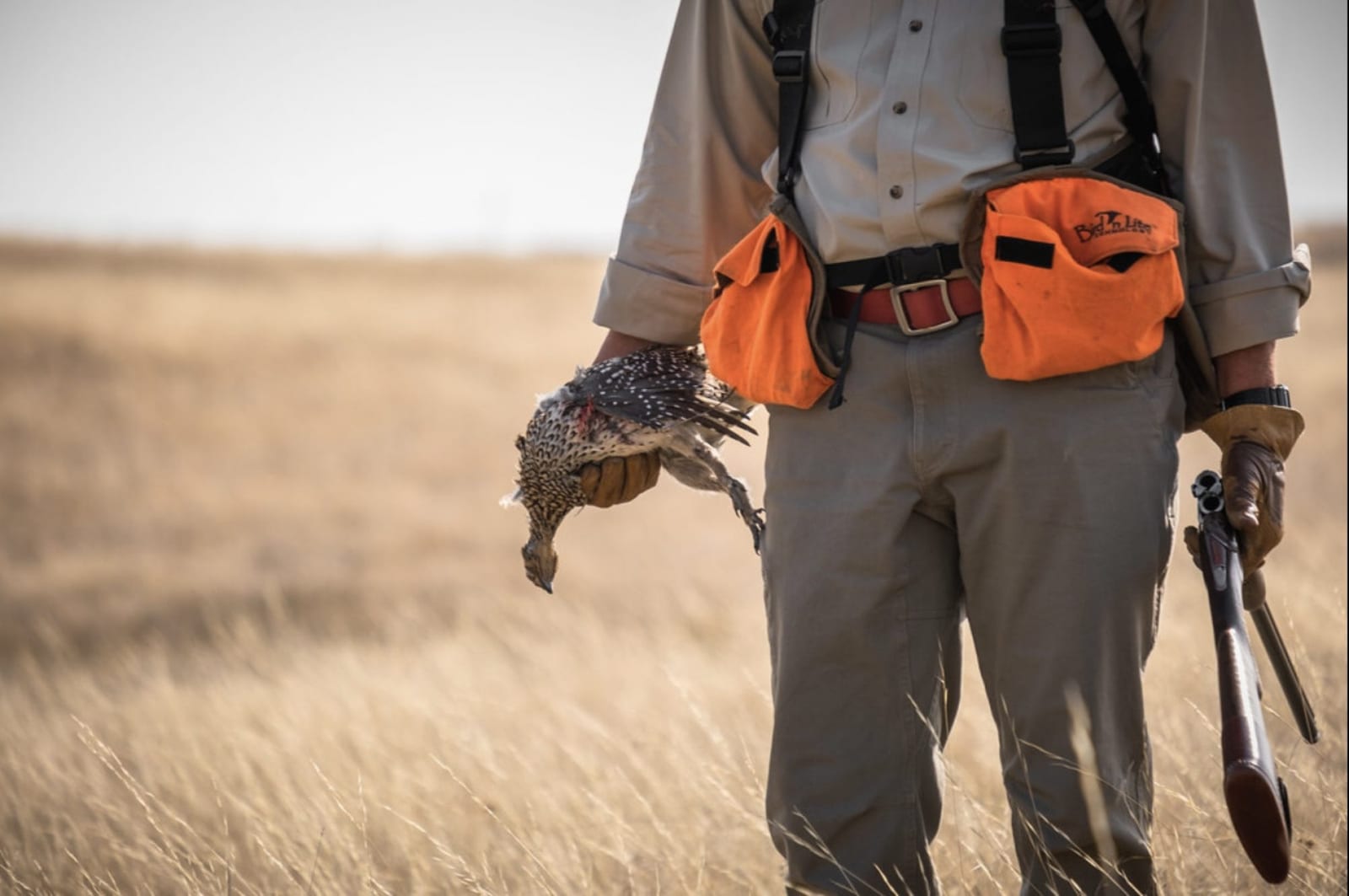 A hunter holds a harvested sharp-tailed grouse in a field.
