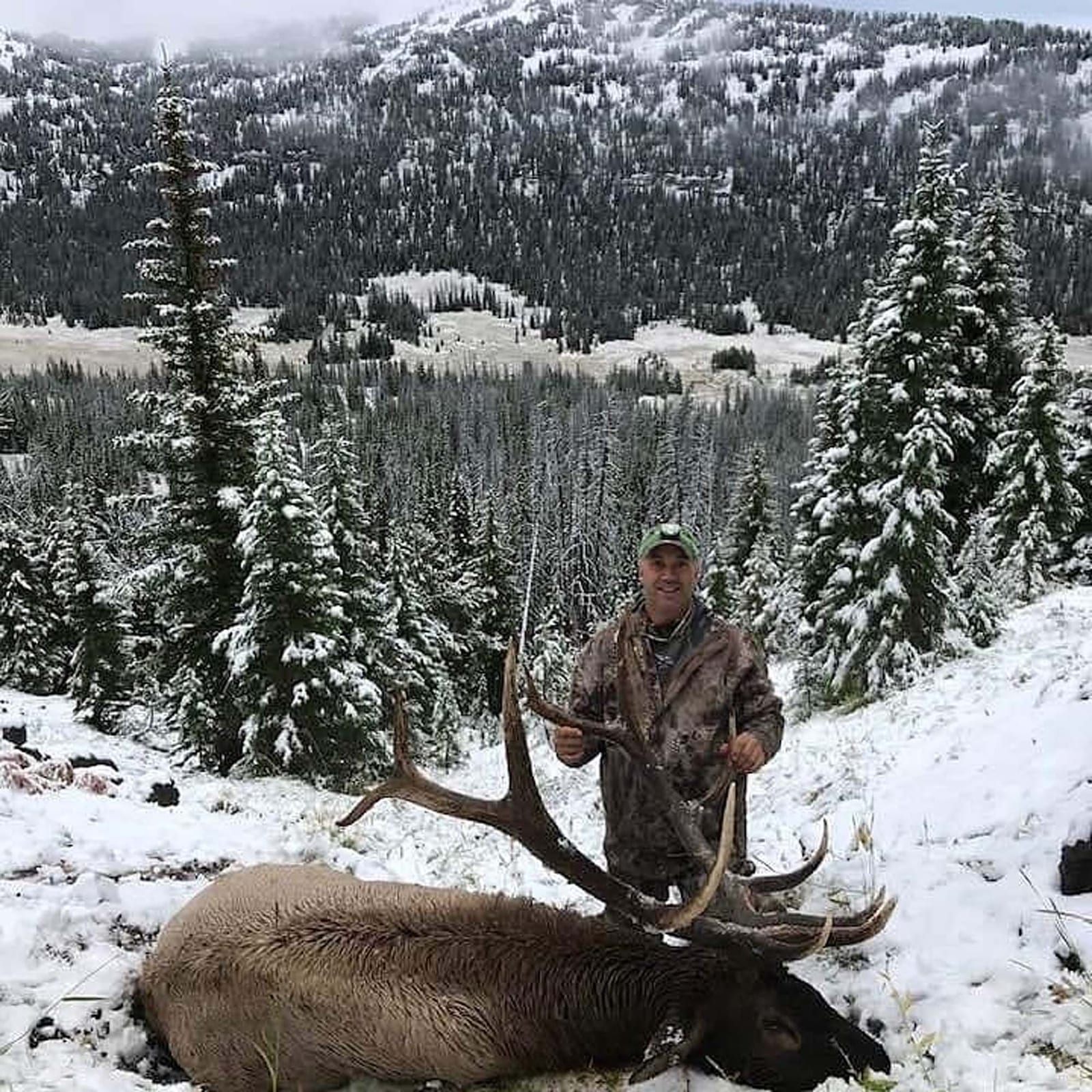 A hunter poses with a harvested elk in a snowy, mountainous landscape.