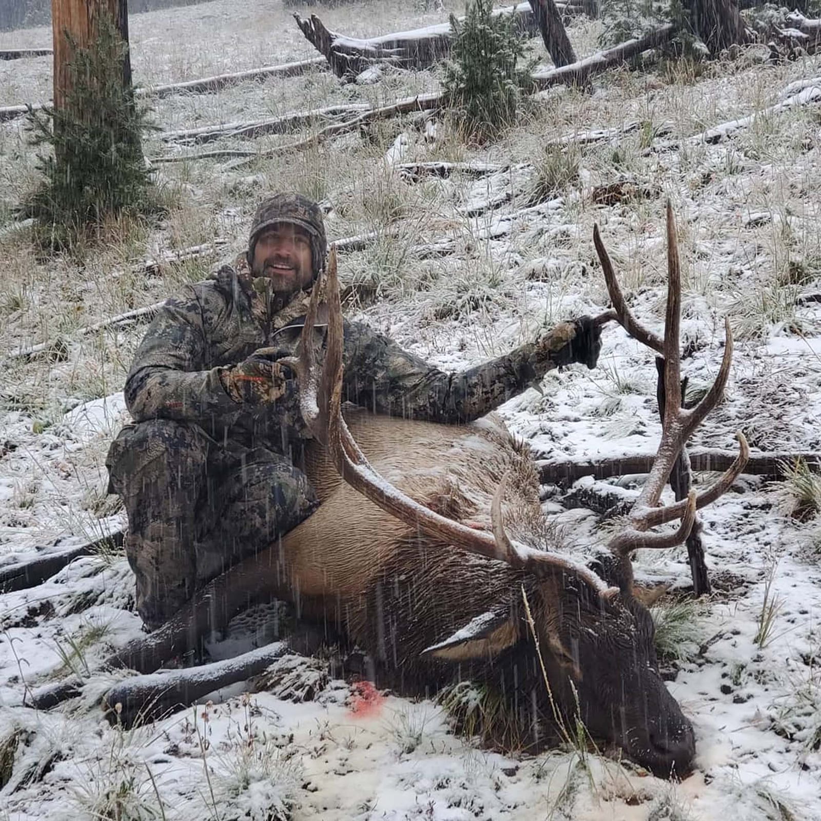 A hunter poses with a harvested elk in a snowy, wooded area.