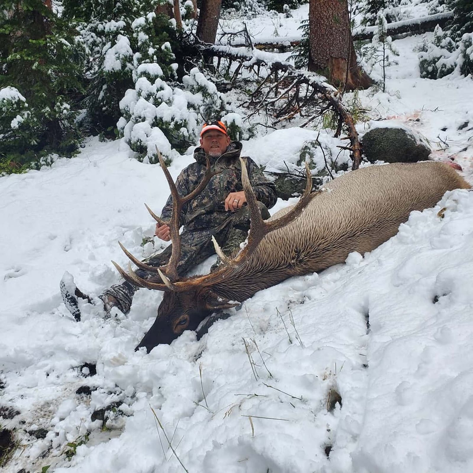 A hunter in camouflage sits next to a harvested elk in a snowy forest.
