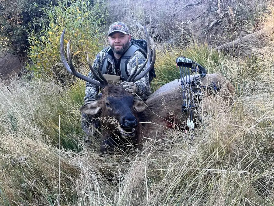 A hunter in camouflage poses with a harvested elk in tall grass.