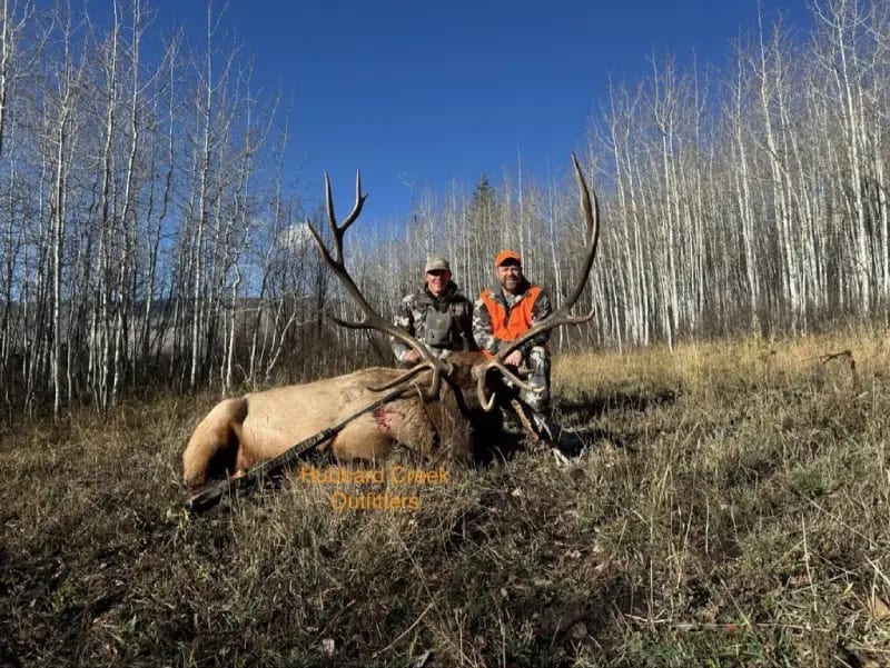 Two hunters pose with a harvested elk in a forest with bare trees under a blue sky.