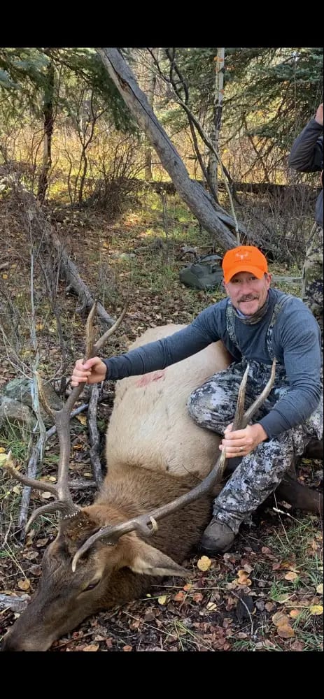 A hunter poses with a harvested elk in a wooded area.