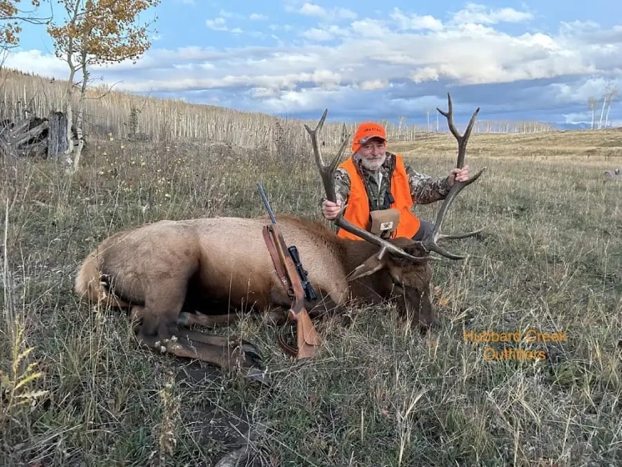 A hunter in an orange vest poses with a harvested elk in a grassy field.
