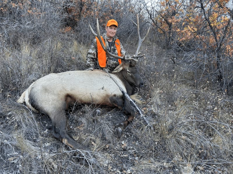A hunter in an orange vest poses with a harvested elk in a brushy, wooded area.