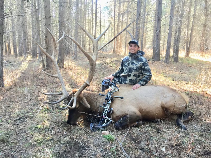 A hunter poses with a harvested elk and a bow in a forest.