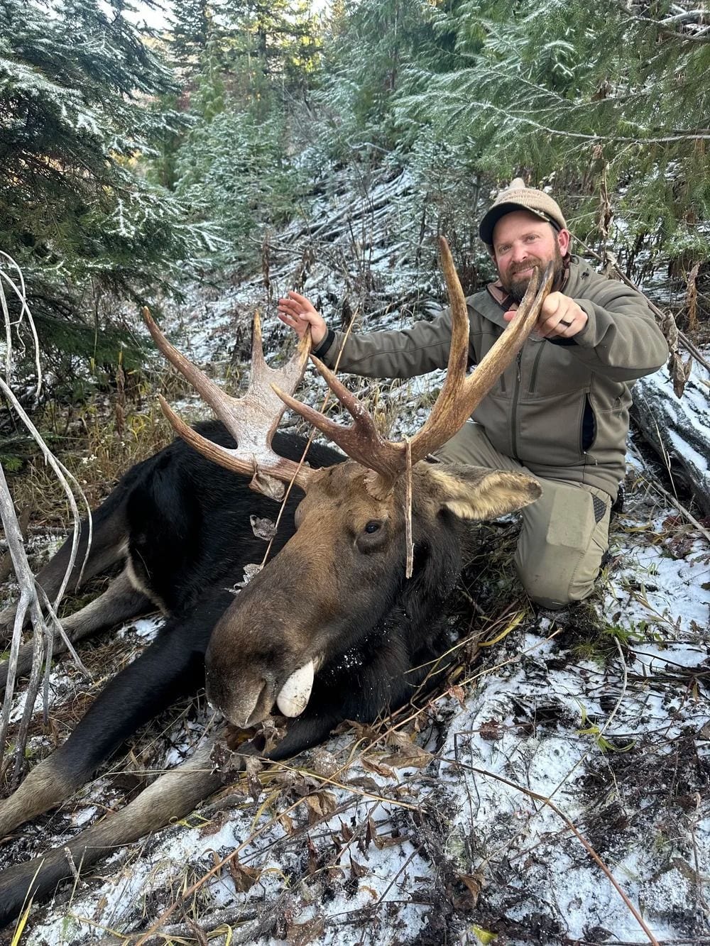 Idaho Whitetail Guides Moose Hunts