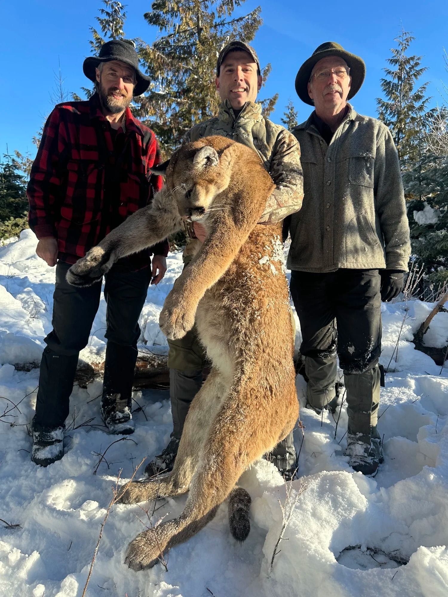 Idaho Whitetail Guides Cougar Hunts