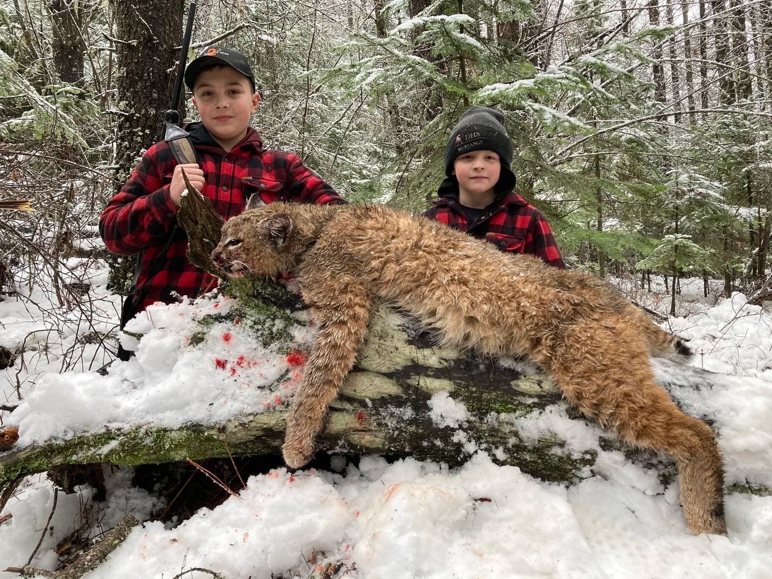 Idaho Whitetail Guides Bobcat Hunts