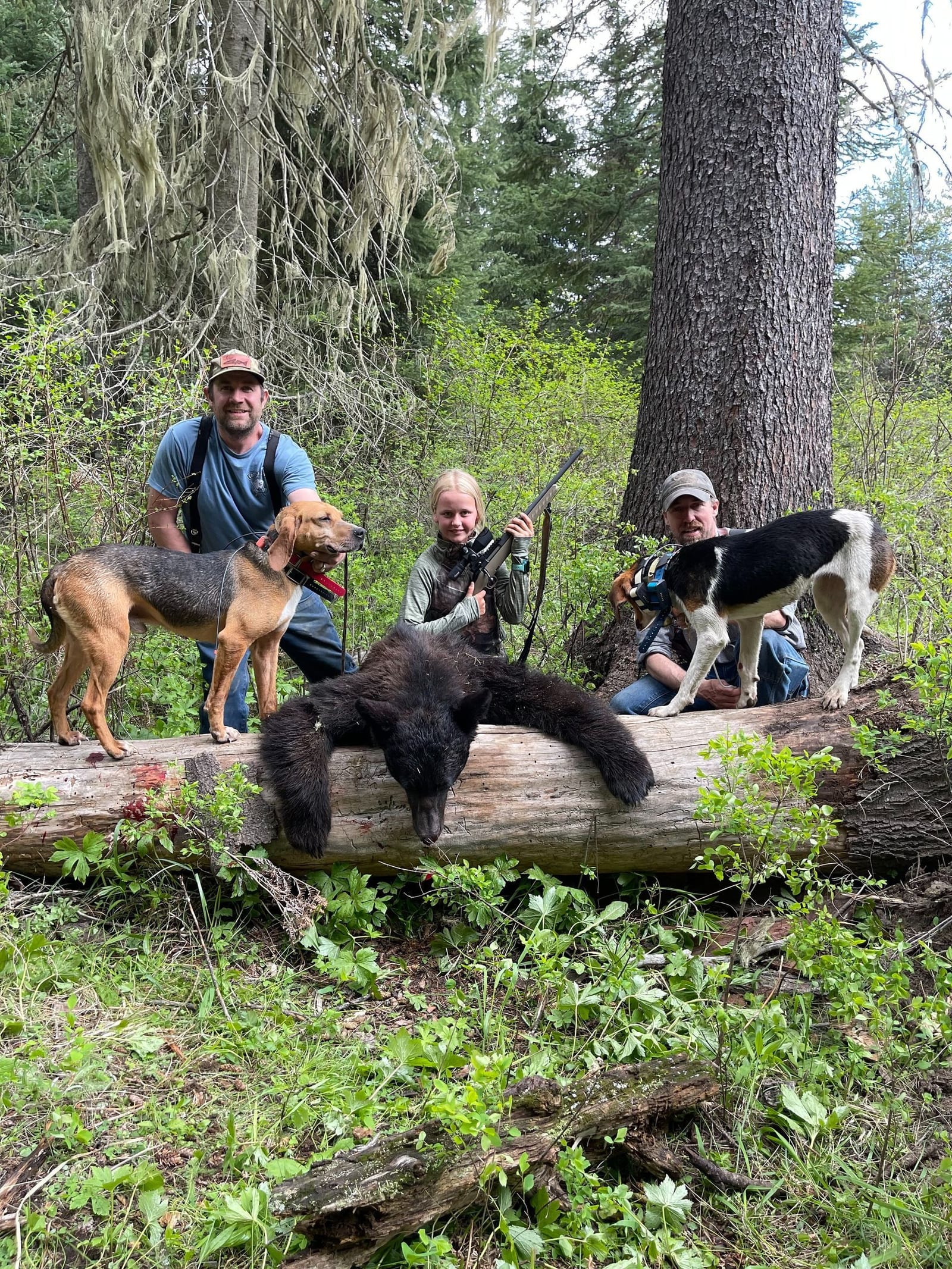 Idaho Whitetail Guides Bear Hunts