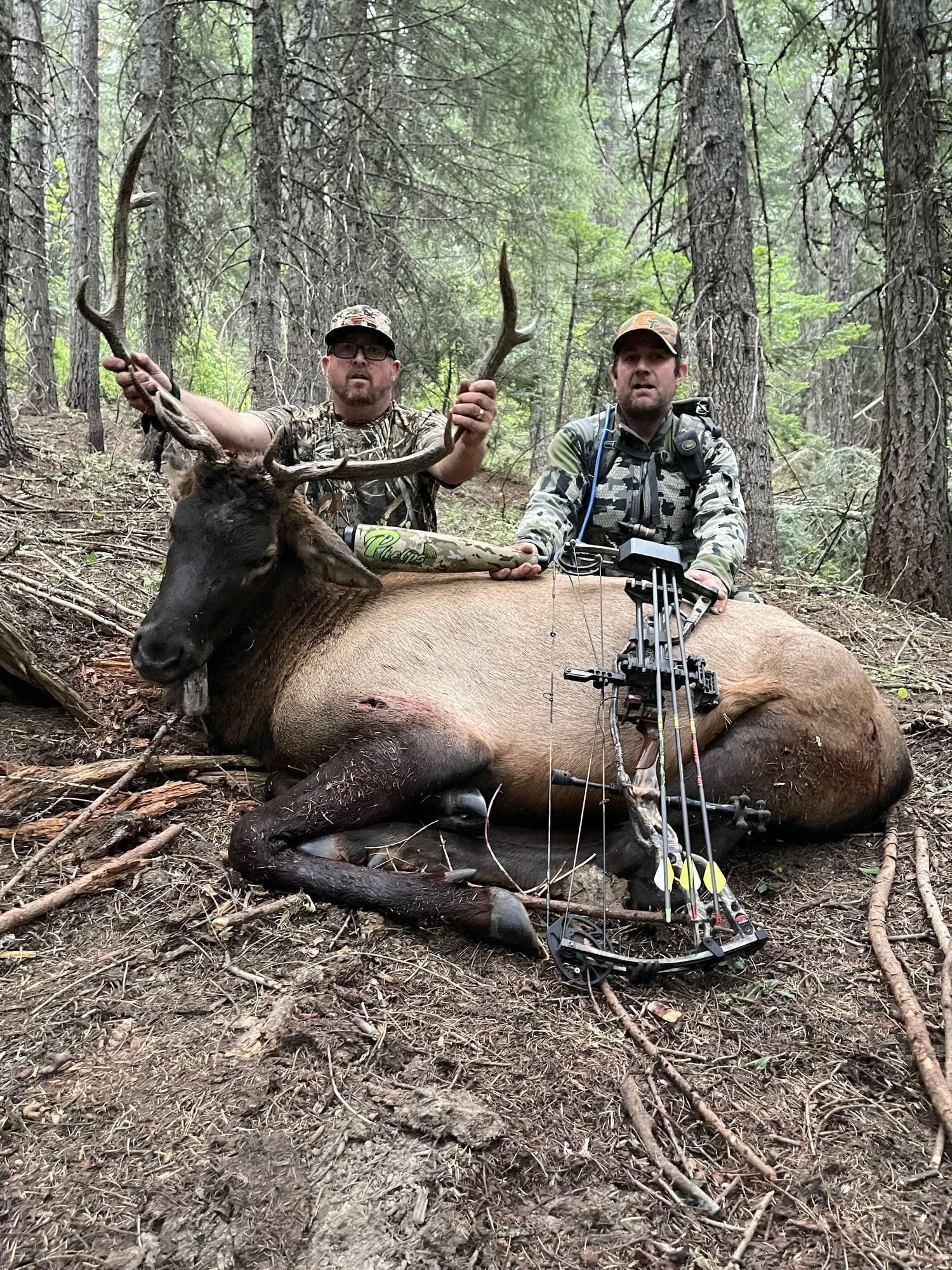 Idaho Whitetail Guides Elk Hunts