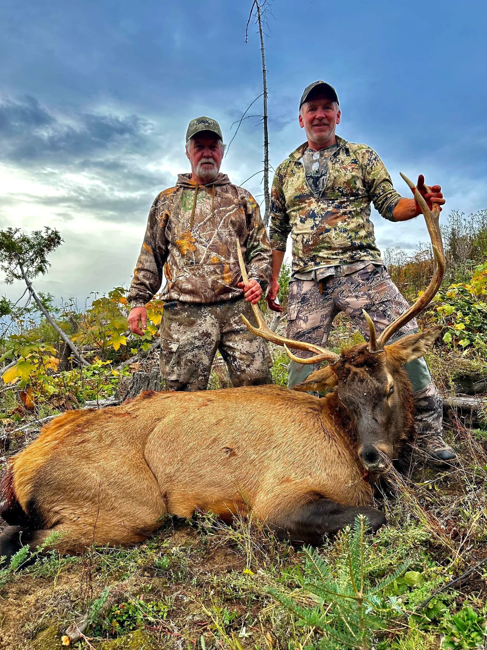 Idaho Whitetail Guides Elk Hunts
