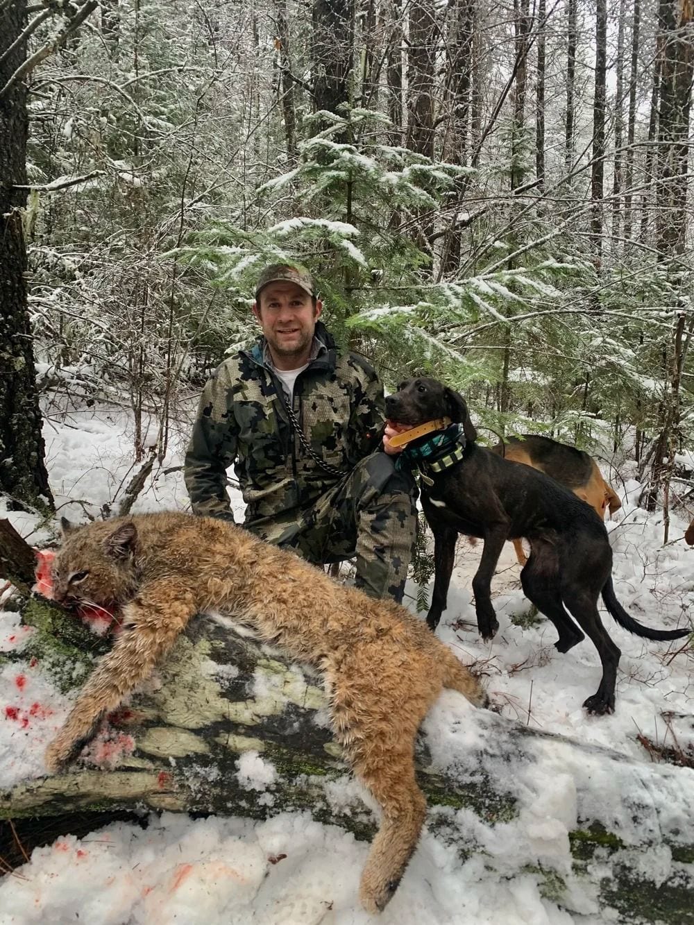 Idaho Whitetail Guides Bobcat Hunts