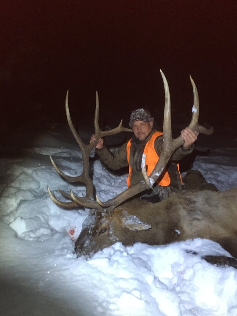 A hunter poses with a harvested elk in the snow at night.