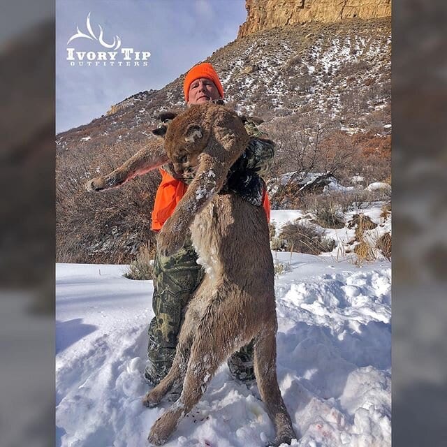 Congrats to Dave on his beautiful lion!! #hunting #lionhunting #ivorytipoutfitters #craigcolorado #moffatcounty