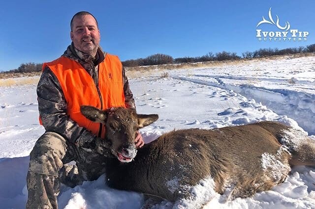 Congrats to Dan on his cow! #hunt #hunting #elk #elkhunt #elkhunting #wapiti #cowelk #outfitters #colorado #craigcolorado #moffatcounty #ivorytipoutfitters #outdoors #fairchase