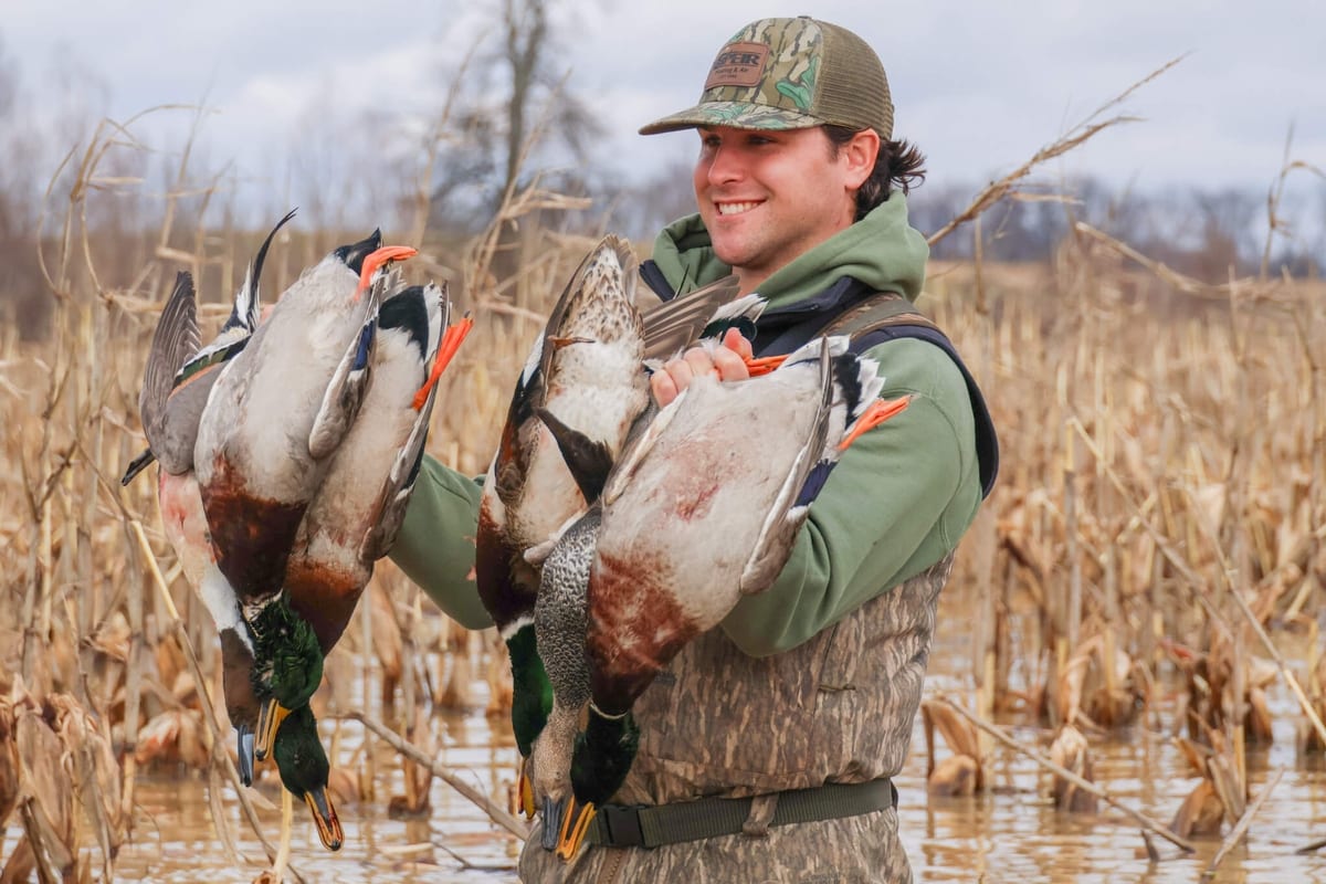 Duck Hunting TN