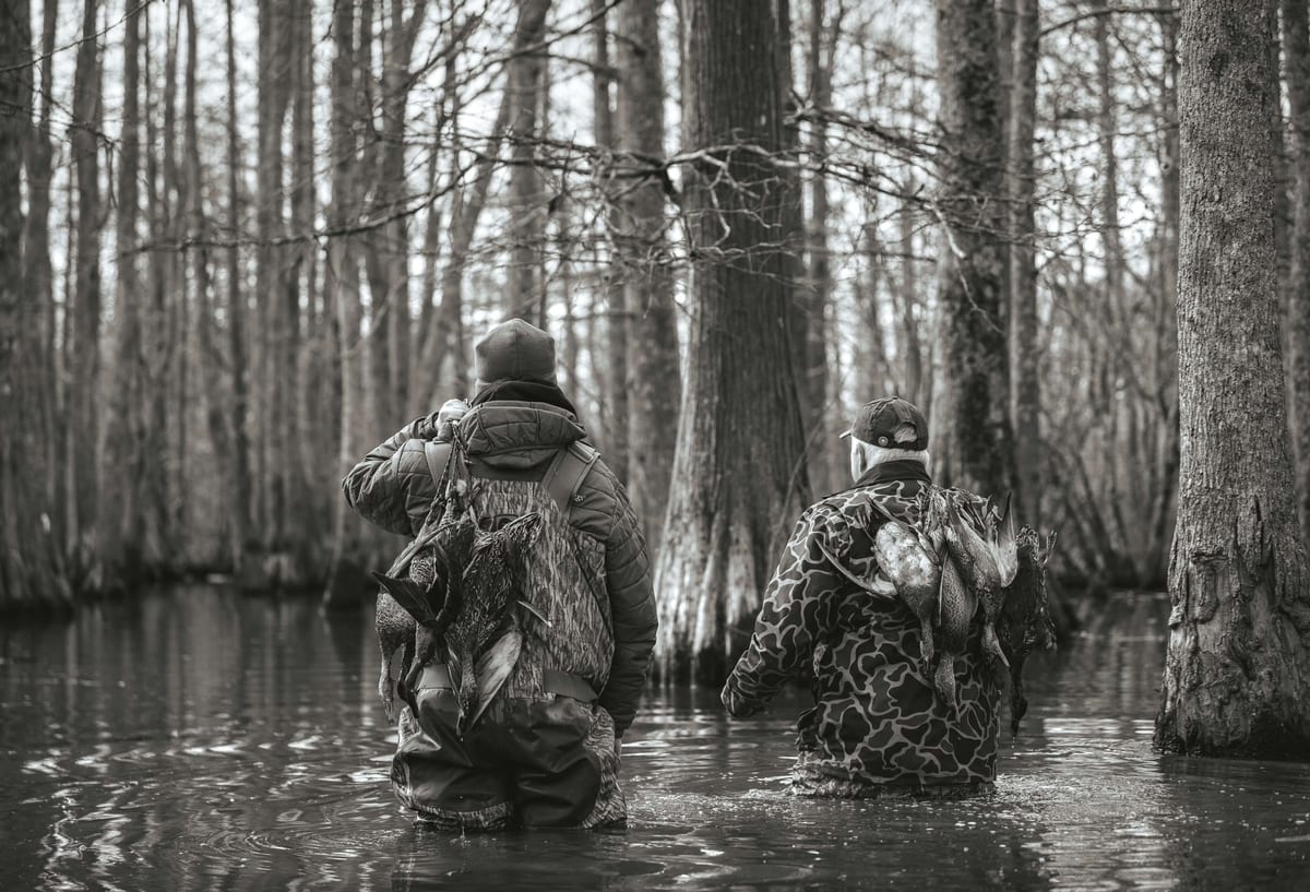 Flooded Timber Hunts