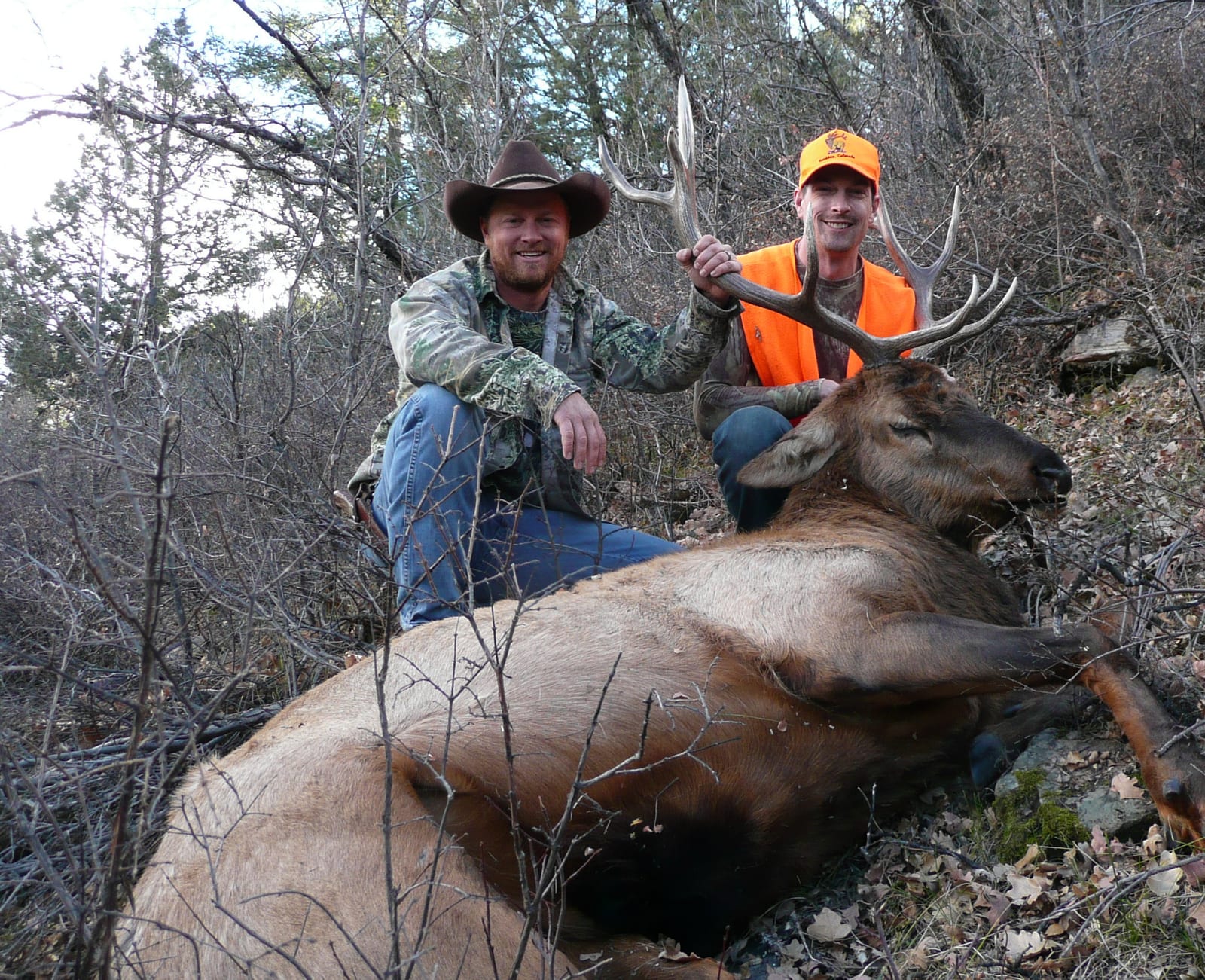 Colorado Big Game Hunting