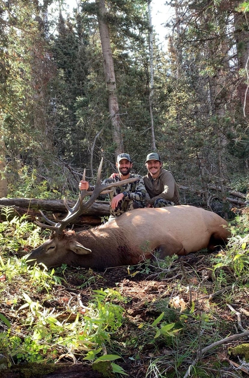 Two hunters pose with a harvested elk in a forest.