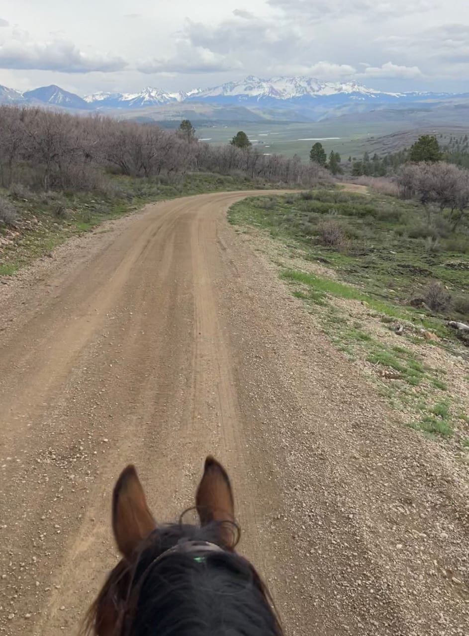 A view from horseback on a dirt road with mountains in the background under a cloudy sky.