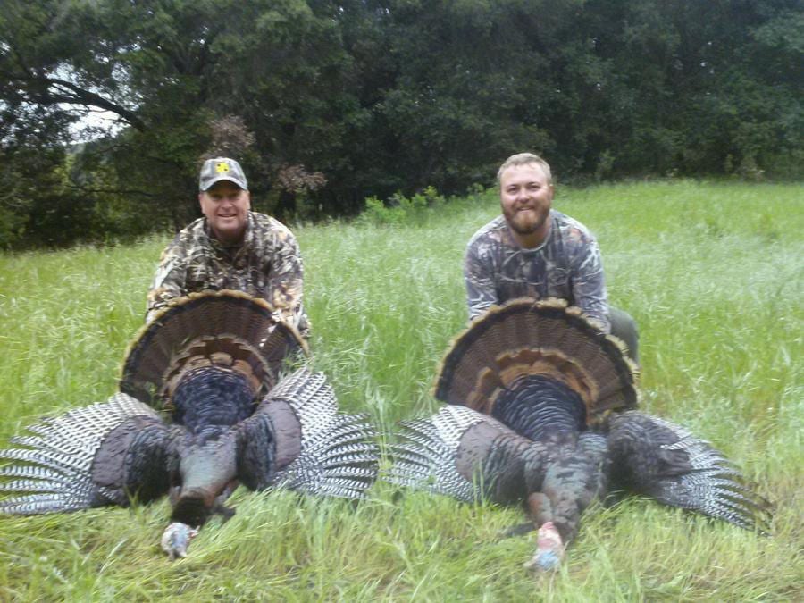 Two hunters pose with two harvested wild turkeys in a grassy field.