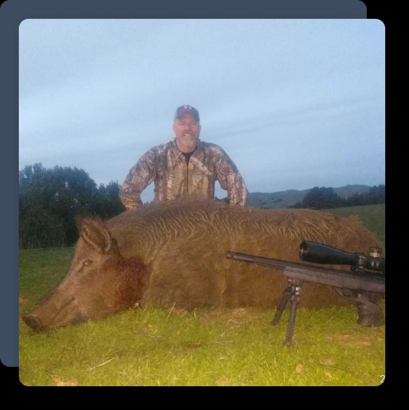 Northern California Pig Hunts