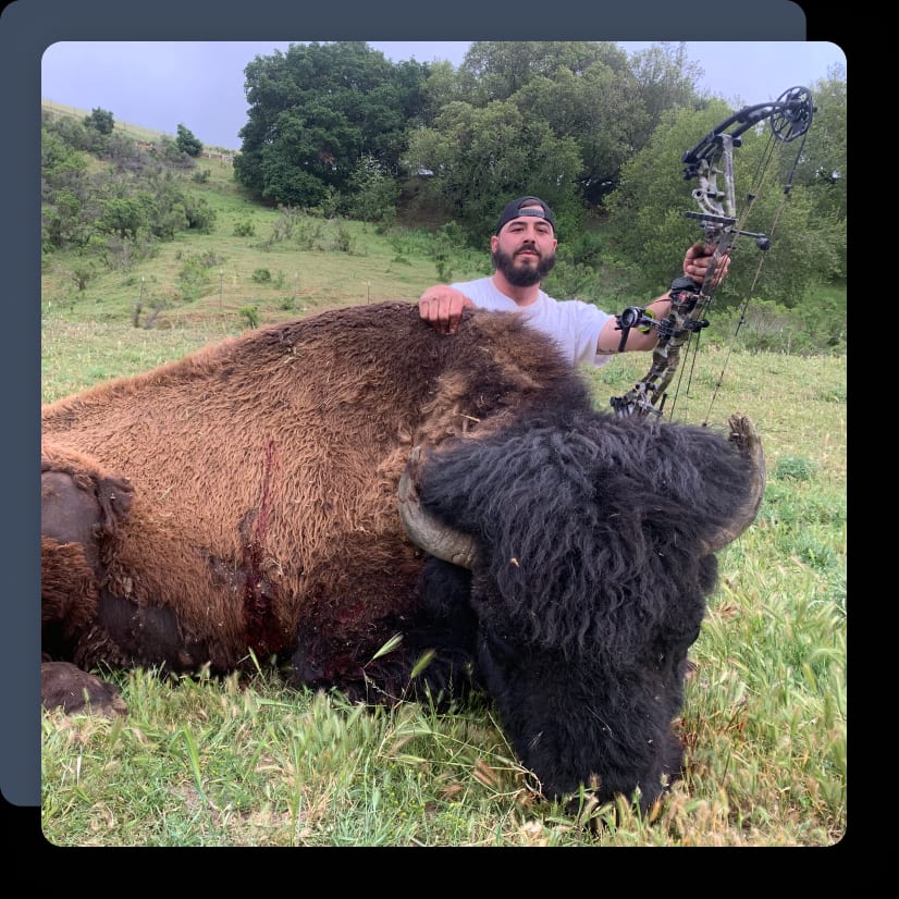 California Bison Hunts