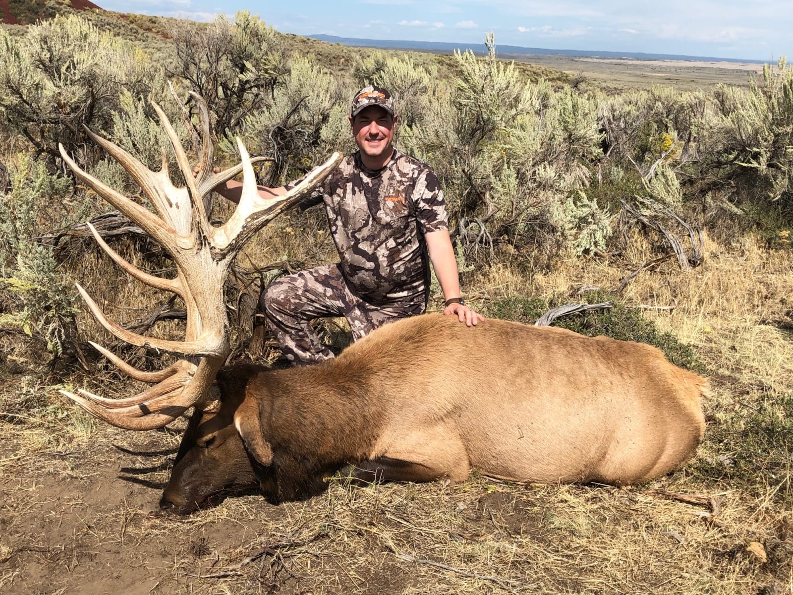 A hunter in camouflage poses with a large harvested elk in a field.