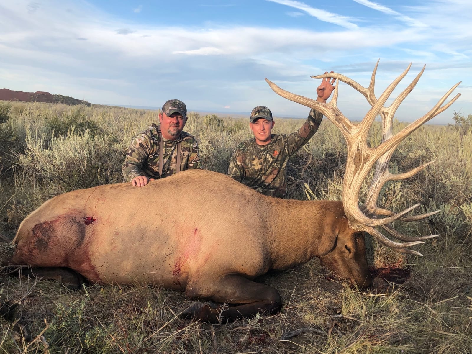 Two hunters pose with a harvested elk in a field.