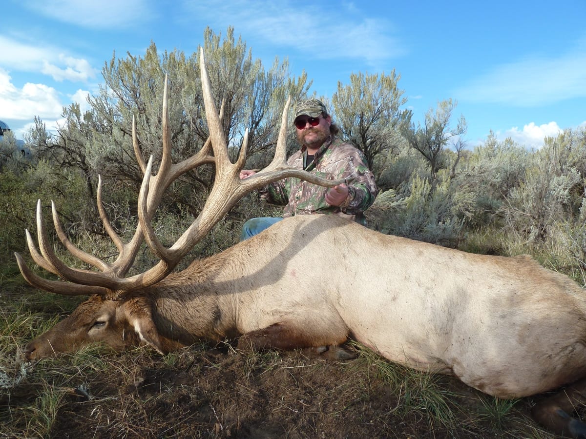 A hunter poses with a large harvested elk in a field.
