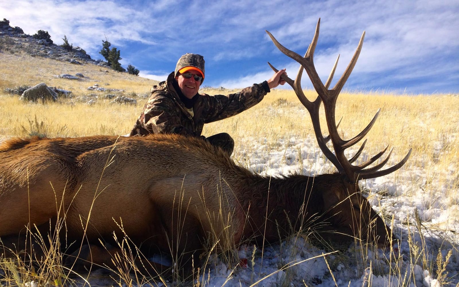 A hunter poses with a harvested elk in a snowy, grassy field under a blue sky.