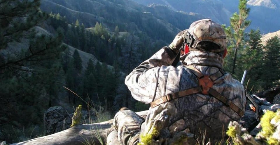 A hunter in camouflage uses binoculars to scan a mountainous, forested landscape.